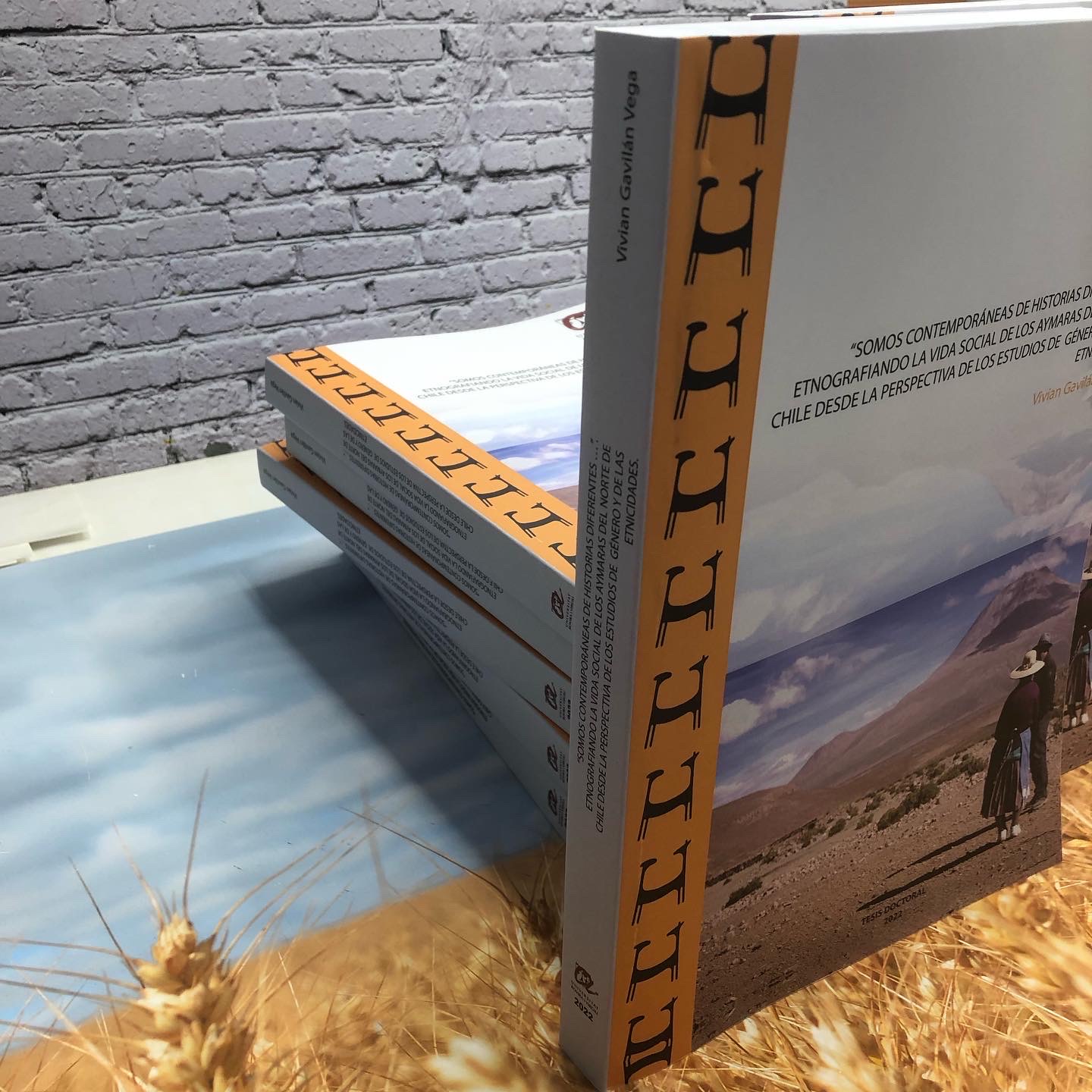 Tesis encuadernadas con diseño editorial personalizado